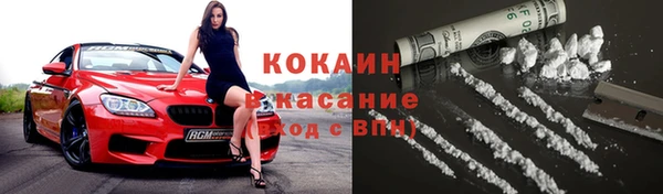 твердый Арсеньев
