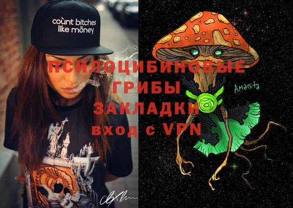 стафф Новокубанск
