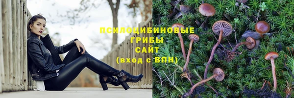 спиды Няндома