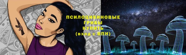 спиды Няндома