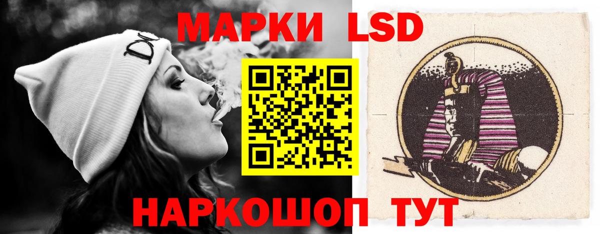 Лсд 25 Балтийск