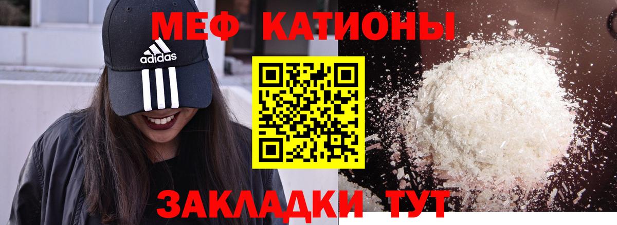 МЕФ  Балтийск