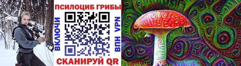Псилоцибиновые грибы прущие грибы  хочу   Балтийск 