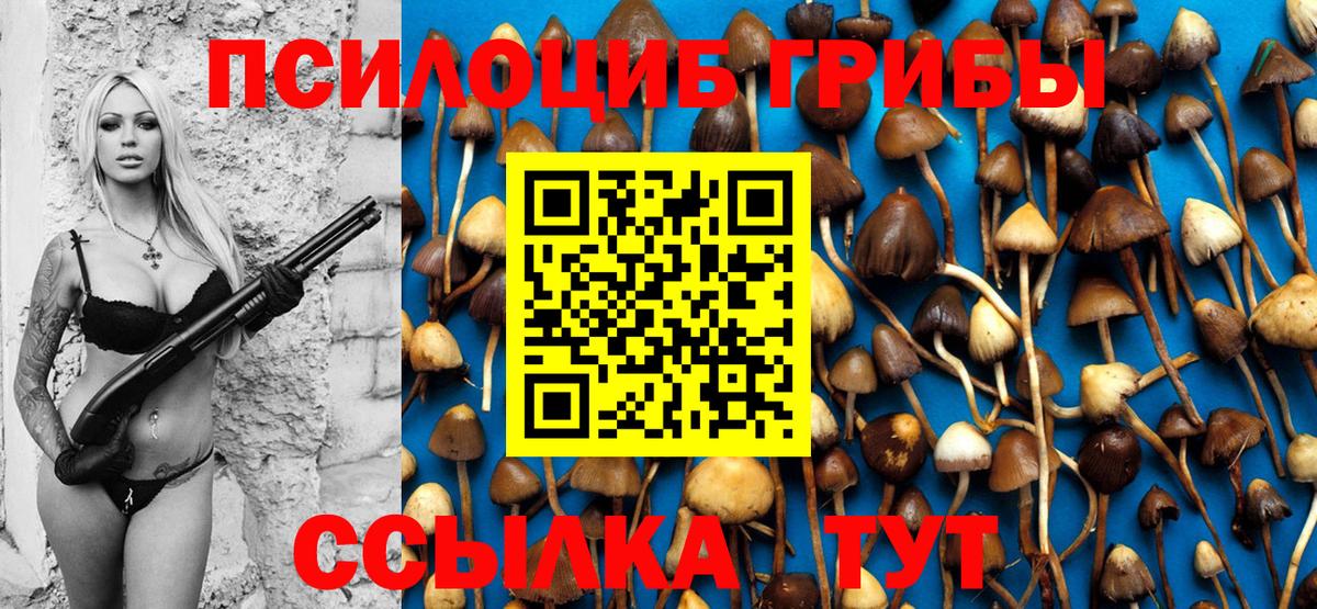 Псилоцибиновые грибы Cubensis Балтийск