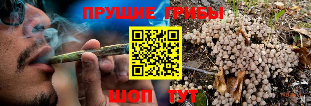 Псилоцибиновые грибы Magic Shrooms  Вход с VPN  Псилоцибиновые грибы ЛСД  Балтийск 
